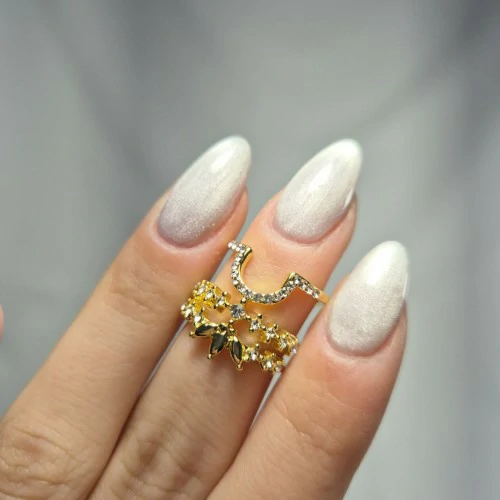 ANILLOS