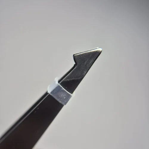 Pinza angular cherimoya